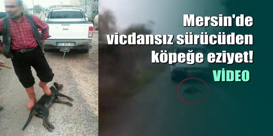 Vicdansız sürücü köpeği aracın arkasında sürükleyerek öldürdü
