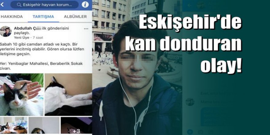 Eskişehir'de kedi vahşeti