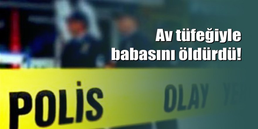 Aydın'da genç kız kendisini taciz ettiğini iddia ettiği babasını öldürdü