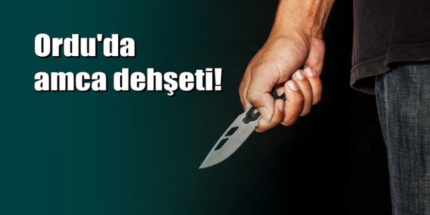 Ordu'da vahşet; Yeğenini öldürdü kardeşini ağır yaraladı