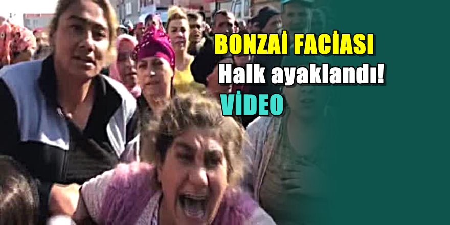 Edirne'de bonzai yine can aldı