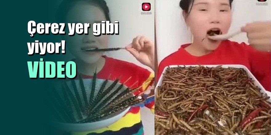 Çerez yer gibi iştahla böcek yiyen Çinli kız