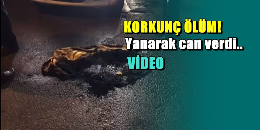 İzmir'de feci ölüm; sokak ortasında küle döndü