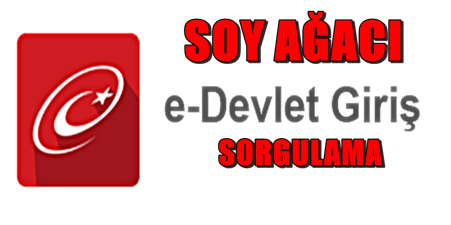 Fatih Altaylı'dan çok konuşulacak ' Soy Ağacı ' yazısı