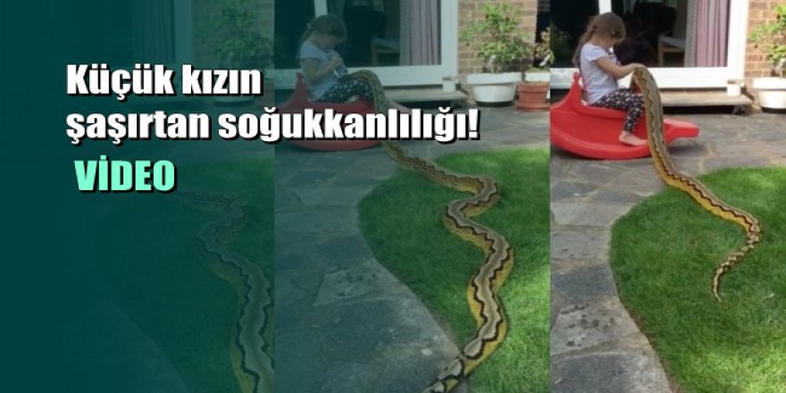 4 Yaşındaki Kızın Dev Piton Karşısındaki Şaşırtıcı Soğukkanlılığı