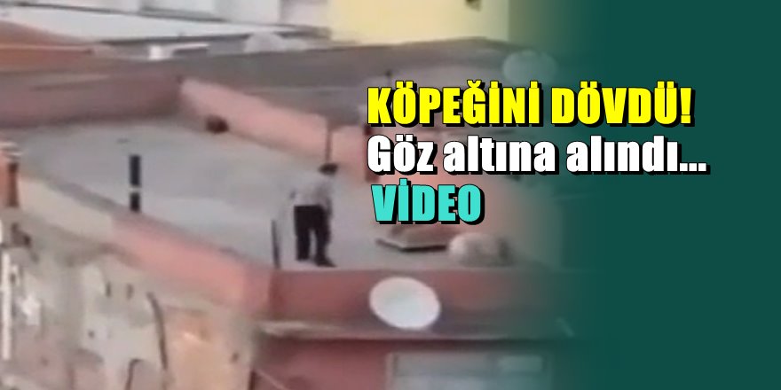 Adana'da köpeklerini kemerle döven adam tutuklandı