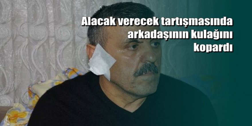 Tartıştığı arkadaşının kulağını kopardı