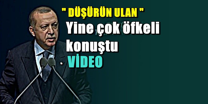 Erdoğan yine ' ulan ' dedi