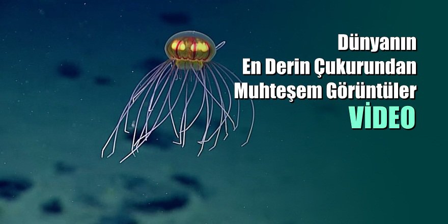 Mariana Çukuruna Gönderilen Kamera ile Ortaya Çıkan Muhteşem Görüntüler