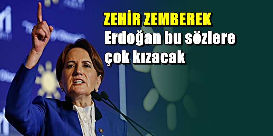 Meral Akşener'den Erdoğan'ı çok kızdıracak sözler