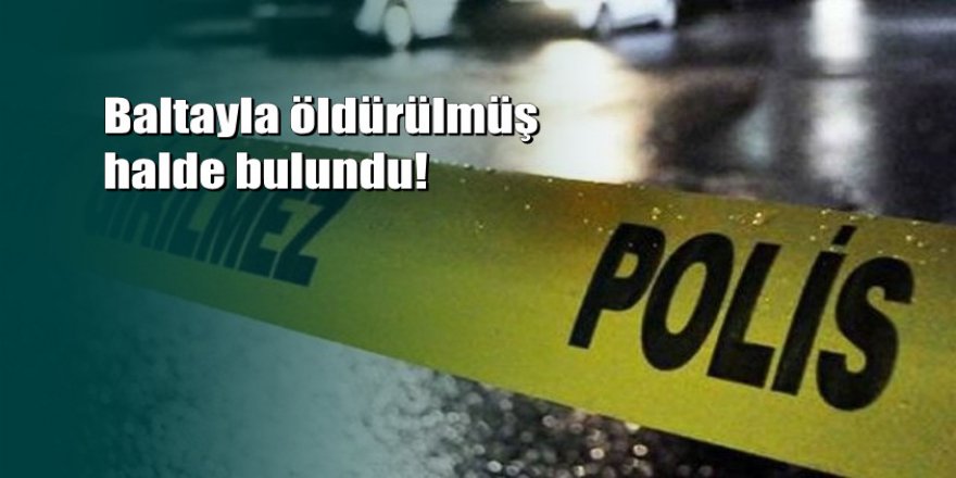 Bursa'da korkunç cinayet: Baltayla öldürdüler