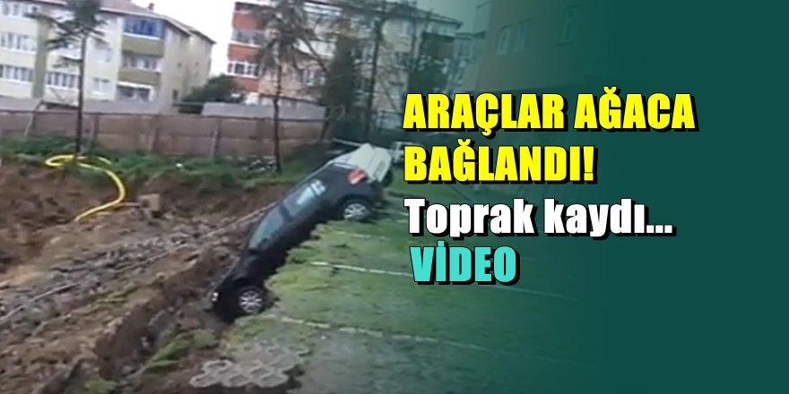 İnanılmaz olay; Kadıköy'de araçları ağaca bağladılar