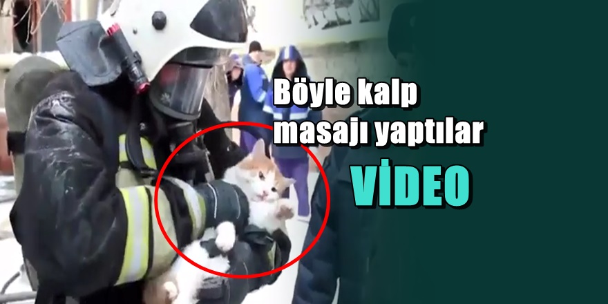 Rusya bu kedi kurtarmanın görüntülerini konuşuyor