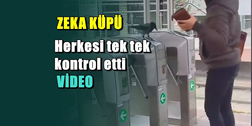 Vatandaşların Akbil basmalarını kontrol eden karga görüntüleri