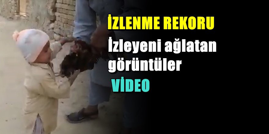 Dünya bu hayvan sever çocuğu konuşuyor