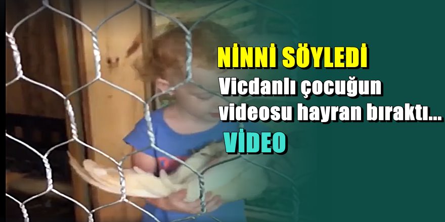 Dünya bu çocuğun hayvan sevgisini konuşuyor