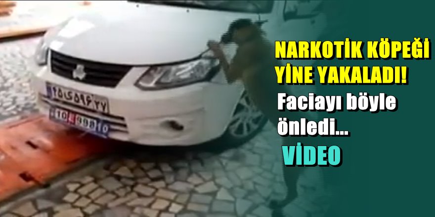 Trabzon'da büyük vurgun; 31 kilo eroin ele geçirildi