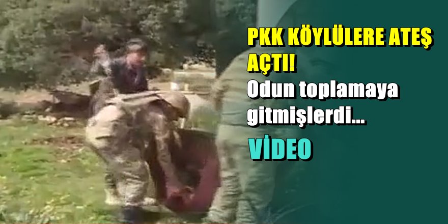 Şırnak'tan kötü haber; PKK odun toplayan genci vurdu