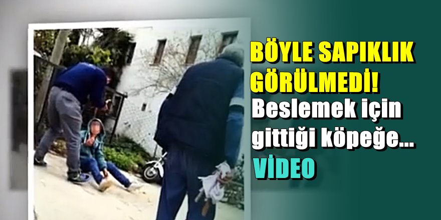 Bodrum'da garson çalıştığı mekan sahibinin köpeğine tecavüz etti
