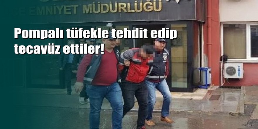 Kocaeli'de kendilerini polis olarak tanıtıp 2 kadına tecavüz ettiler