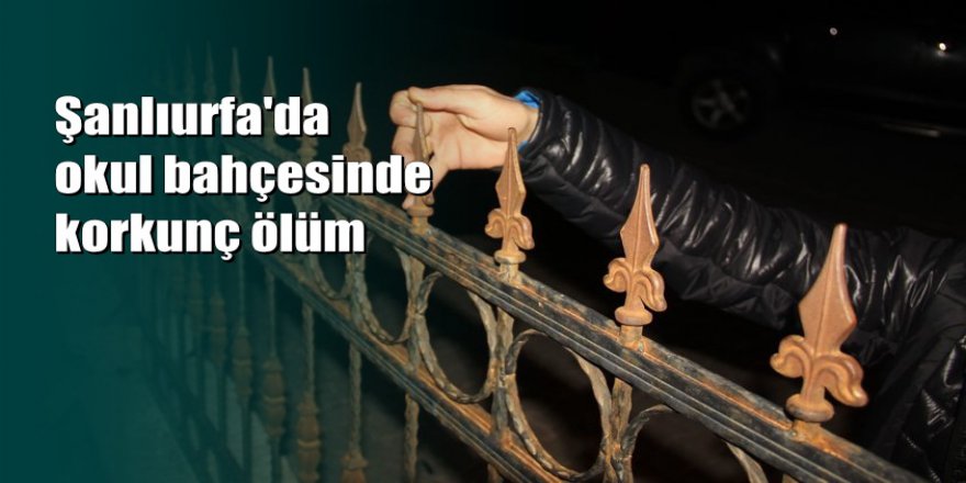 Şanlıurfa'da kafasına demir korkuluğu saplanan çocuk hayatını kaybetti