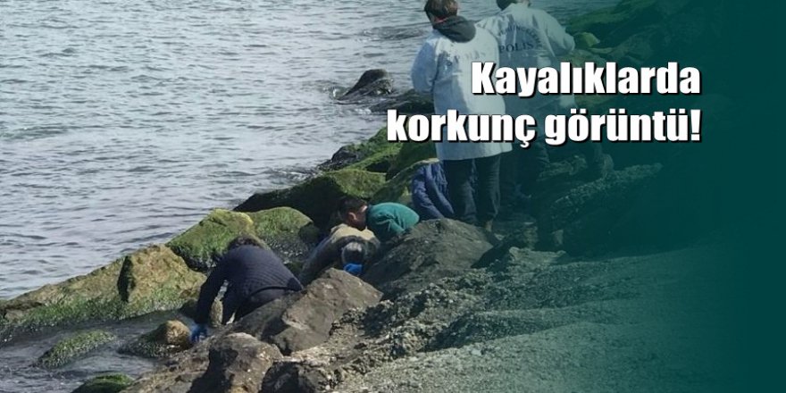 Samsun'da sahilde kafası, kolları ve bacakları olmayan kadın cesedi bulundu