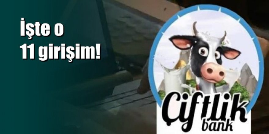 Bakan 'Çiftlik Bank gibi 11 girişim daha var' demişti... İşte o 11 girişim