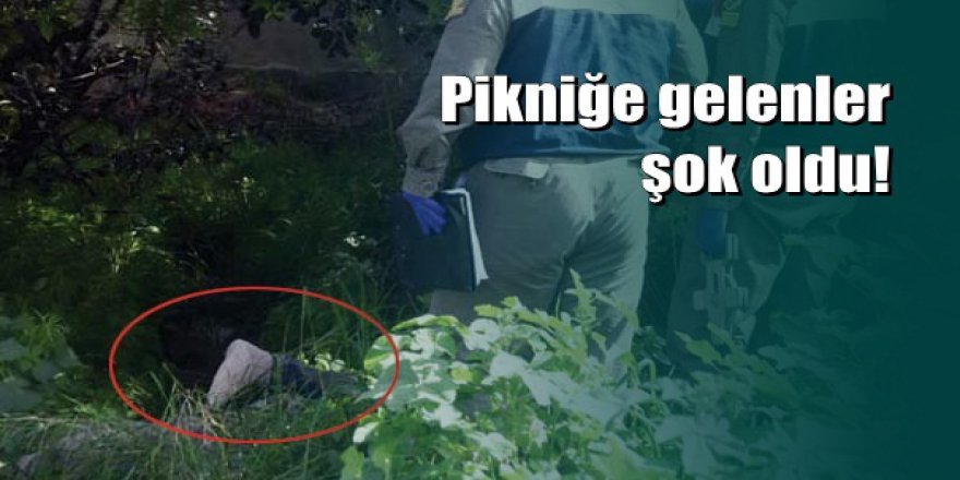 Bodrum'da yol kenarında ceset bulundu