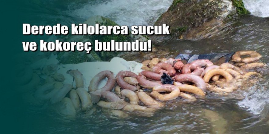 Mideniz kaldırmayacak: Sakarya'da şok eden görüntü