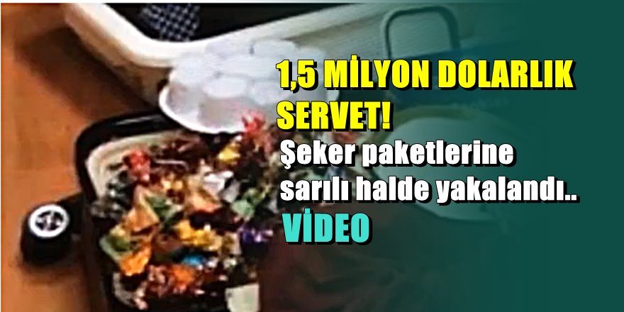 Valizden çıkan servet şok etti