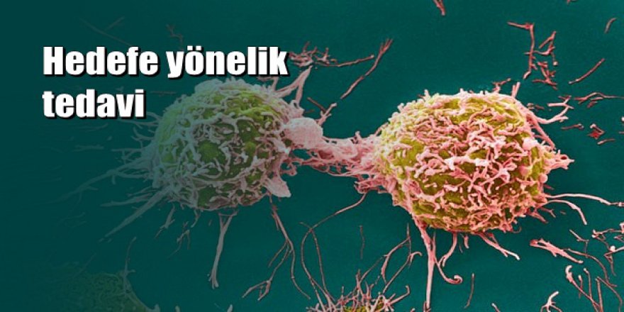 Yılın buluşu: Kanserde yayılmayı durduruyor...