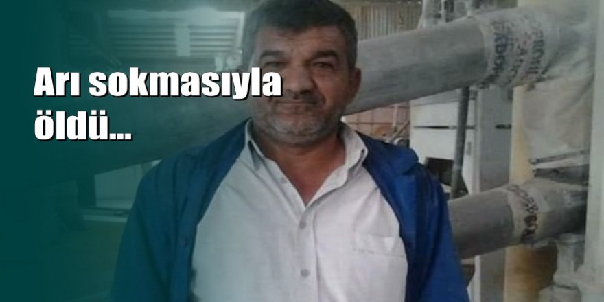 Antalya'da amatör arıcının feci sonu