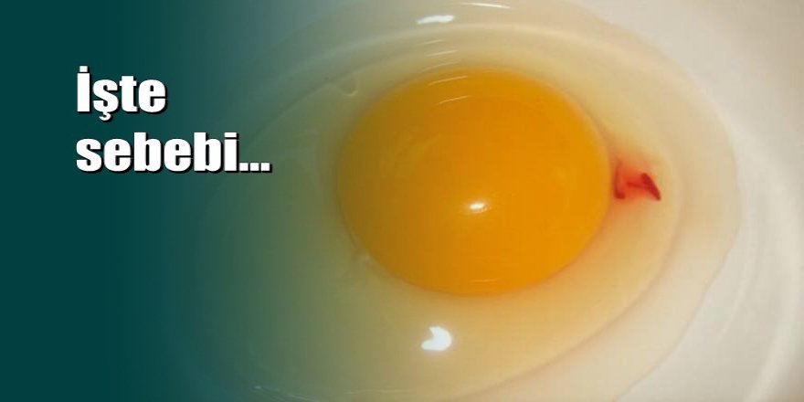 Yumurtadaki kan lekesine dikkat