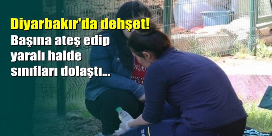 Diyarbakır'da liseli kız okulda dehşet saçtı
