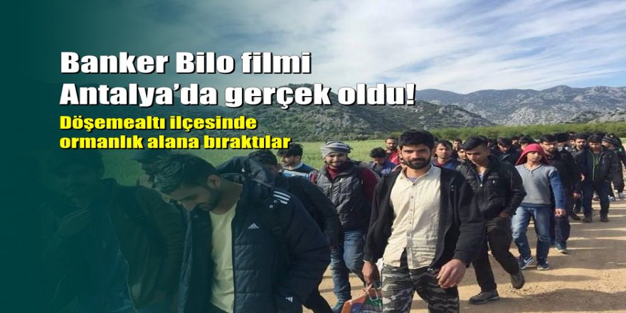 Göçmenleri İstanbul diye Antalya'da ormanlık alana bıraktılar