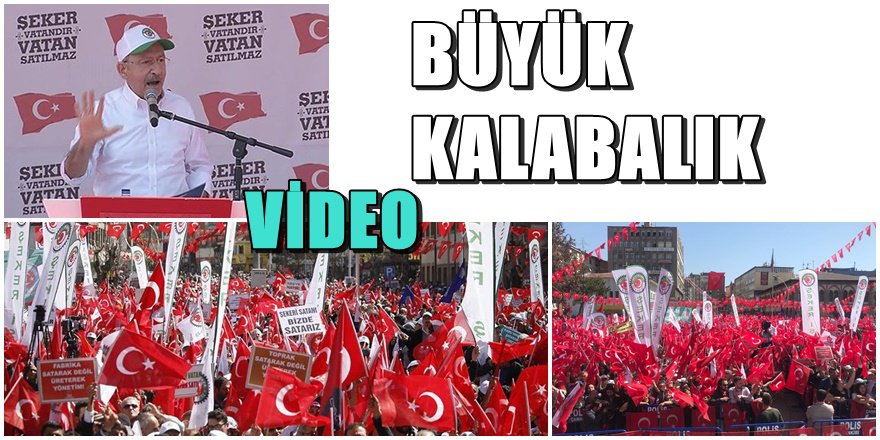 CHP'nin şeker mitinginde büyük kalabalık