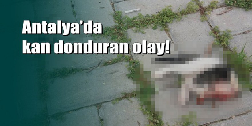 Antalya'da vahşet: Kafası ve bacakları kesilerek öldürülmüş