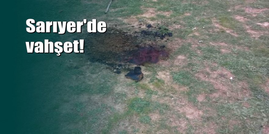 Sarıyer'de vahşet: Yanmış ceset bulundu