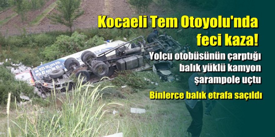 TEM'de feci kaza: Balık yüklü kamyon şarampole uçtu