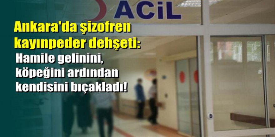 Ankara'da şizofren kayınpeder dehşeti: Hamile gelinini bıçakladı