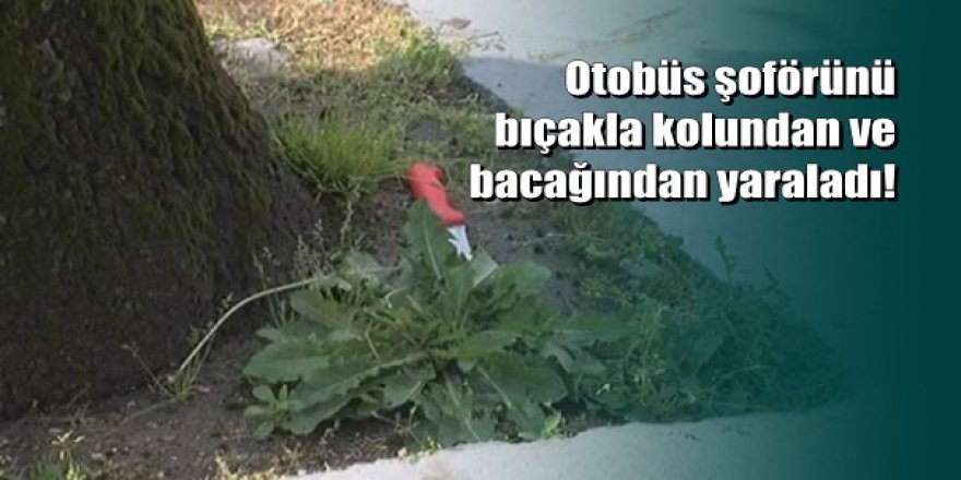 İstanbul'un göbeğindeki yol verme kavgası kanlı bitti