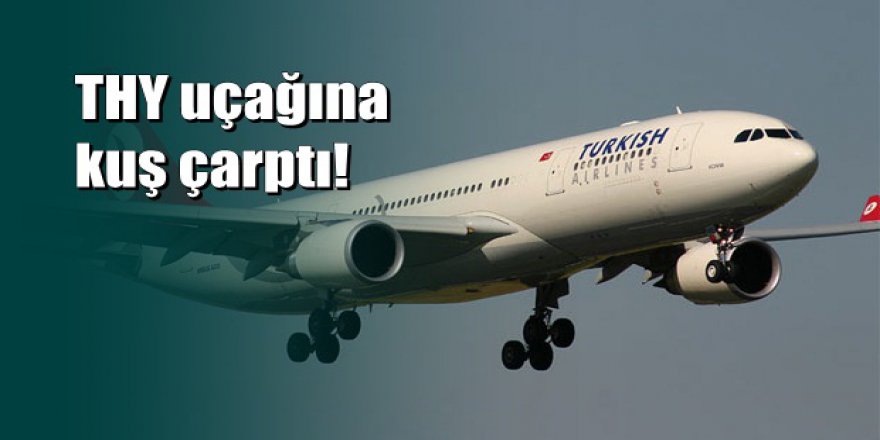 THY uçağına kuş çarptı; 2 uçak pisti pas geçti