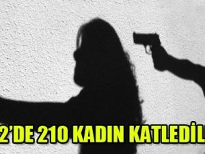 2012'de 210 kadın öldürüldü