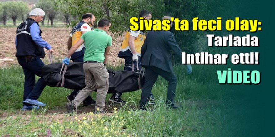 Sivas'ta feci olay: Kendisini tarlada ağaca asarak intihar etti