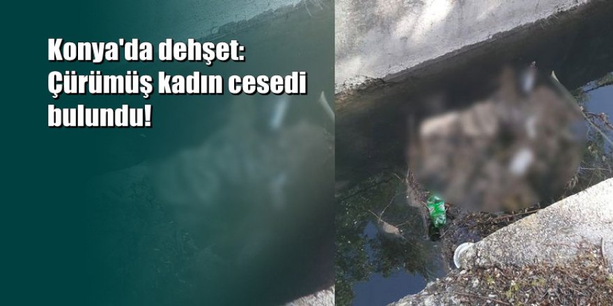 Konya'da başı ve kolu kesik kadın cesedi bulundu