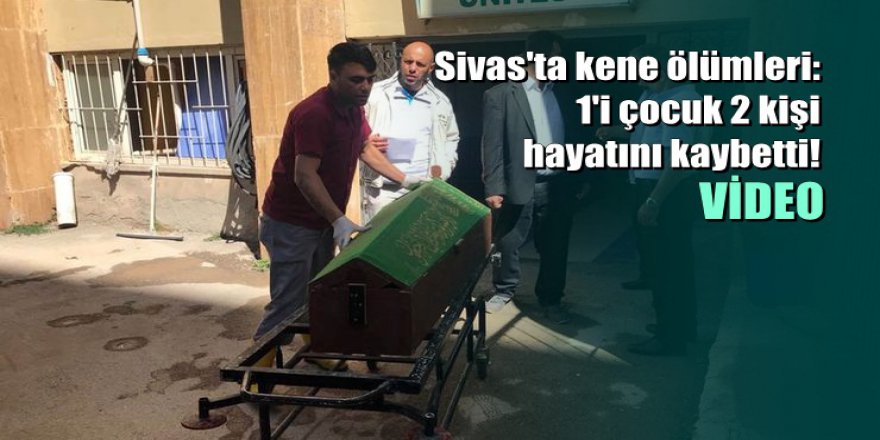 Sivas'ta kene ölümleri: 1'i çocuk 2 kişi hayatını kaybetti