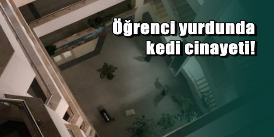 Hacettepe Üniversitesi yurdunda dehşet: 5'inci kattan aşağı attılar