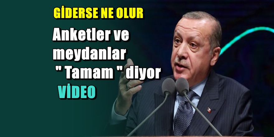 Erdoğan düşerse Türkiye'ye ne olur