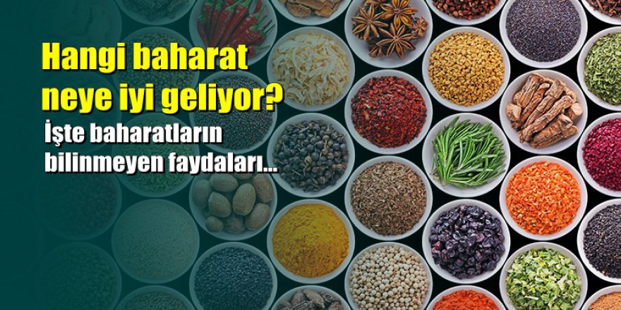 Hangi baharat neye iyi geliyor: İşte baharatların bilinmeyen faydaları
