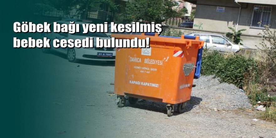 Kocaeli'de çöp konteynerinde bebek cesedi bulundu